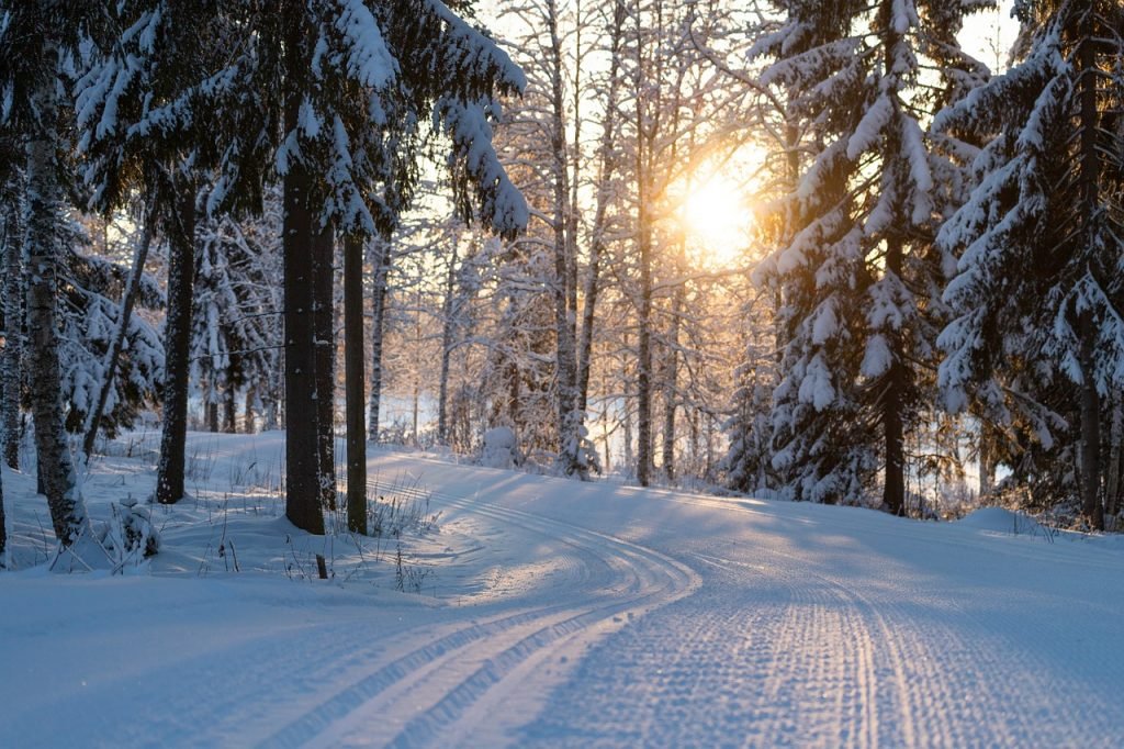 ski tracks