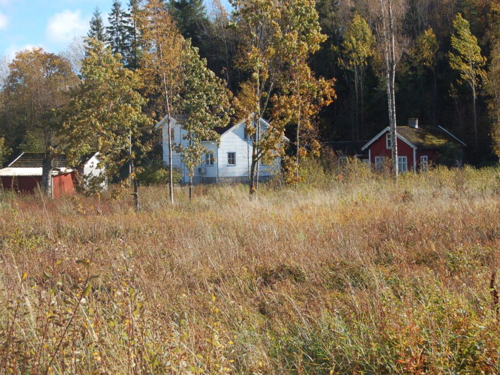 Ferienhaus Haus am See
